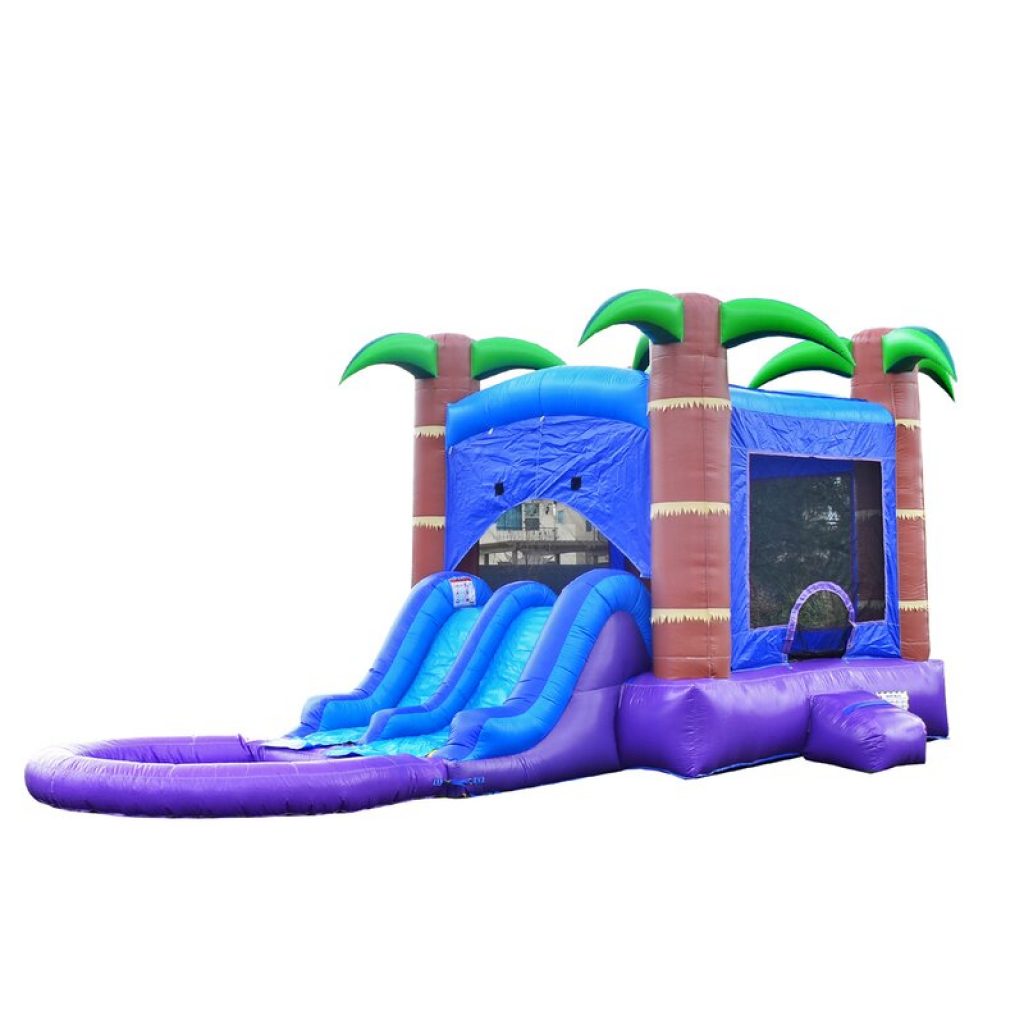 Enchanted Wet & Dry Slide Combo