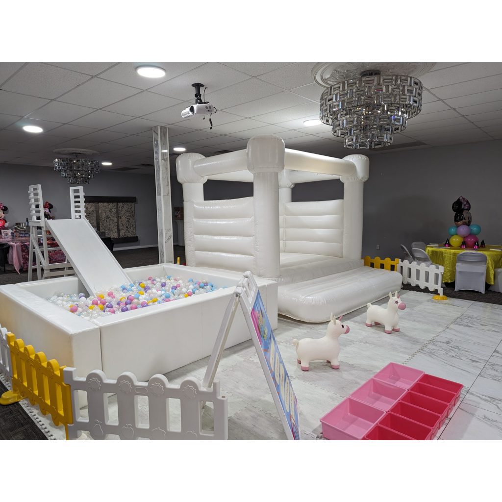 Ballpit Bliss Premium (customizable) 4